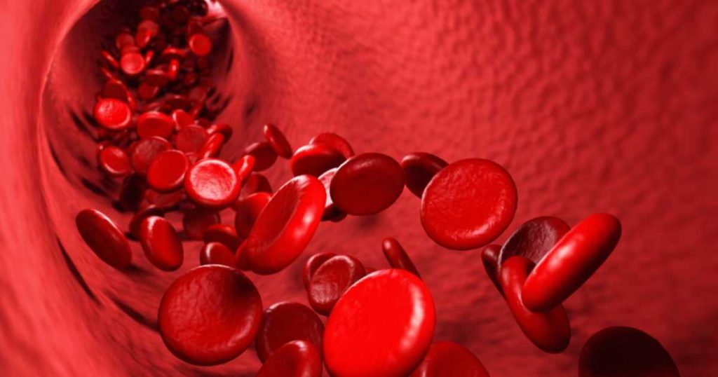 The Science of Blood Circulation